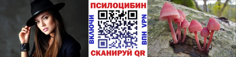 Галлюциногенные грибы Psilocybine cubensis Купить закладки Ужур